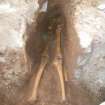 Legs of skeleton 13, trench 3, photograph from trial trenching at Barony Centre, West Kilbride