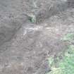 View of the bedrock in trench 6, photograph from final report from archaeological evaluation at Hillwood Farm, Ratho, Edinburgh