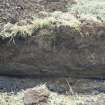 Section of the cable trench at the east end, photograph from archaeological watching brief at Southfield Farm, Dalkeith