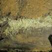 Section of the cable trench at 150m, photograph from archaeological watching brief at Southfield Farm, Dalkeith