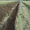 Initial 250m of the cable trench, photograph from archaeological watching brief at Southfield Farm, Dalkeith