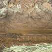 Section of the initial 250m of the cable trench at 250m, photograph from archaeological watching brief at Southfield Farm, Dalkeith