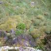 Photograph of Dun da Lamh, from a topographic archaeological survey at five Pictish Forts in the Highlands