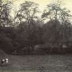 General view of grounds, The Peel, Busby
