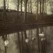 View of pond with swans, The Peel, Busby
