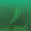 View of hull pieces on HMS Roedean