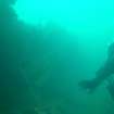 Working shot of diver