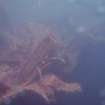 View of hull debris on steamship Thames