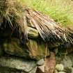Detail of thatching overgrown with grass, reconstructed cottar's house, Auchindrain township museum, Loch Fyne.