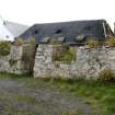 General view of ruined and overgrown 19th century single storey cottage with remains of plended green felt roof,  Balemartine, Tiree.