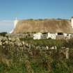 View of thatched 19th century cottage,  thatching in place but with grassy vegetation growth, Tiree, Balevullin.