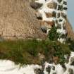 Detail of thatched roof adjoining chimney showing stone weights and turf ; restored 19th century cottage, Tiree, Balevullin.