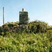 View showing chimney on overgrown and ruinous former 19th century single-storey cottage; Tiree, Kilkenneth.