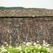 Detail of thatching and ridge on 18th century bothy; Nether Tullicro, Dull.