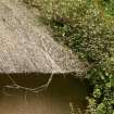 Detail of overgrown thatched roof; Norman Cottage, Mellerstain House.