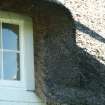 Detail of thatching around dormer window; Leyden's Cottage,Denholm.