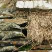 Detail of roof thatch and stone weight; Burn of Wiltrow, Southvoe.
