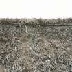 View of thatching and ridge to show some deterioration; Totscore, Skye.