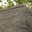 Detail of heather thatched roof and ridge; Tullochard, Plockton.