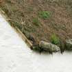 Detail of thatched roof showing stone weight and vegetation growth; Giant McAskill Museum, Dunvegan.