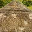 Detail of thatched roof; summerhouse, Finnich Malise, Drymen, Stirling.