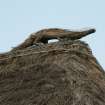 View of thatched sculpture on ridge; Gatliffe Trust Hostel , Baile Berneray.