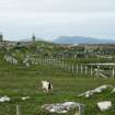 View of ruined,roofless shell, formerly 19th century thatched cottage; 24 Claddach Baleshare North Uist.