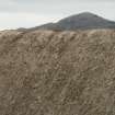 Detail of marram ridge; 472a South Lochboisdale, South Uist.