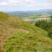 The Rampart & Quarry Ditch Looking WNW