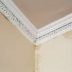 Interior. Ground floor. Detail of cornice in the main office..
