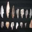 Detail view of lithics from Brownsbank and Howburn farms, including Upper Palaeolithic tanged points.