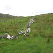 View of dyke marking the E boundary of the crofting plots