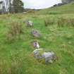 View of boulders marking E boundary of croft plots