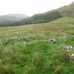 View of ruinous blackhouse