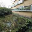 View of pond from north east.