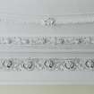 Detail of cornice in drawing room.