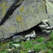 Rock Shelter (Dbase Dun 9)
