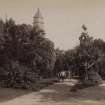 View of gardens with youth and rickshaw, Durban, South Africa.
Titled 'In the Town Gardens. Durban. 54. W&C'
The town gardens are now called the Habour Park.
PHOTOGRAPH ALBUM NO 11 : KIRSTY'S BANFF ALBUM


















































































































































































































































































































































































Park scene, Durban, showing boy with rickshaw.
Park scene, Durban, showing boy with rickshaw.
Titled 'IN THE TOWN GARDENS. DURBAN.54. W&C'
PHOTOGRAPH ALBUM No 11: KIRSTY'S BANFF ALBUM