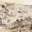 General view of rugged cliff landscape, titled ' BLue Cliff Karridale'. 
PHOTOGRAPH ALBUM NO.116: D M TURNBULL
