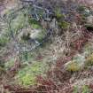 General view of possible souterrain and hut circle at Bhuachaille Loch Hope, Durness, Sutherland