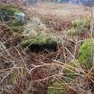 General view of possible souterrain and hut circle at Bhuachaille Loch Hope, Durness, Sutherland