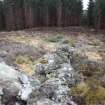 View along dyke at S corner of sheepfold, direction S