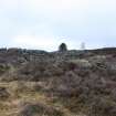 Sheepfold. General view of S corner, direction N