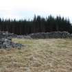 Sheepfold. Internal view towards S corner, direction SE