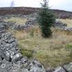 Sheepfold. View of cells along NW side, direction NE