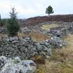 Sheepfold. View of cells along NW side, direction N