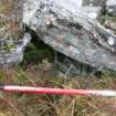 Animal bones visible under stone in D-shaped feature, direction E