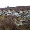 Remains of outer face of annexe rampart to the W of D-shaped feature, direction N