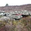 Remains of outer face of annexe rampart to the E of the entrance, direction N