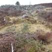 View along dyke running up to the S corner of the sheep fold, direction N